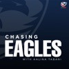 Chasing Eagles  artwork