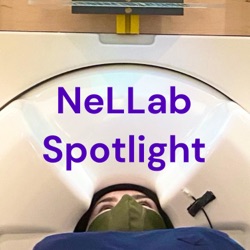 Welcome to NeLLab Spotlight!