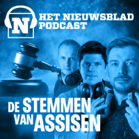 De Stemmen van Assisen