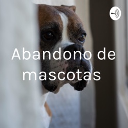 Abandono de mascotas 