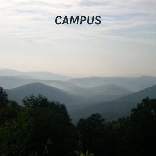 CAMPUS: A Novel That Wants to Be a Musical Artwork