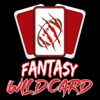 Fantasy Wildcard artwork