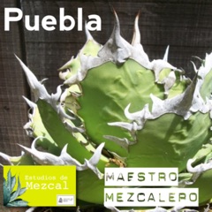 Mezcal En Puebla