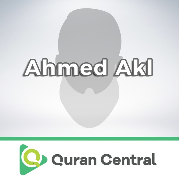 Ahmed Akl Artwork