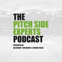 Episode 1: Analysing spin bowling in T20