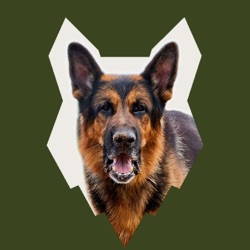 Everything You NEED TO KNOW About The GERMAN SHEPHERD!