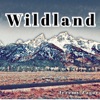 Wildland artwork