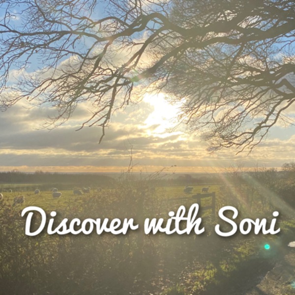 Discover with Soni Artwork