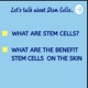 PLANT STEM CELL