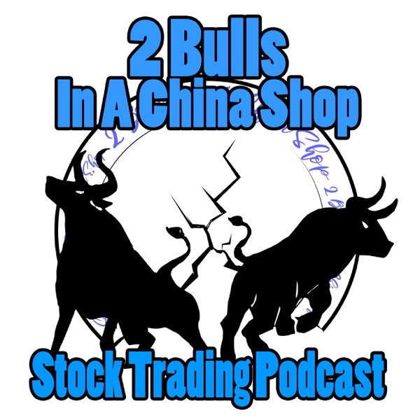 2 Bulls In A China Shop