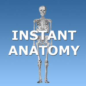 Instant Anatomy podcast