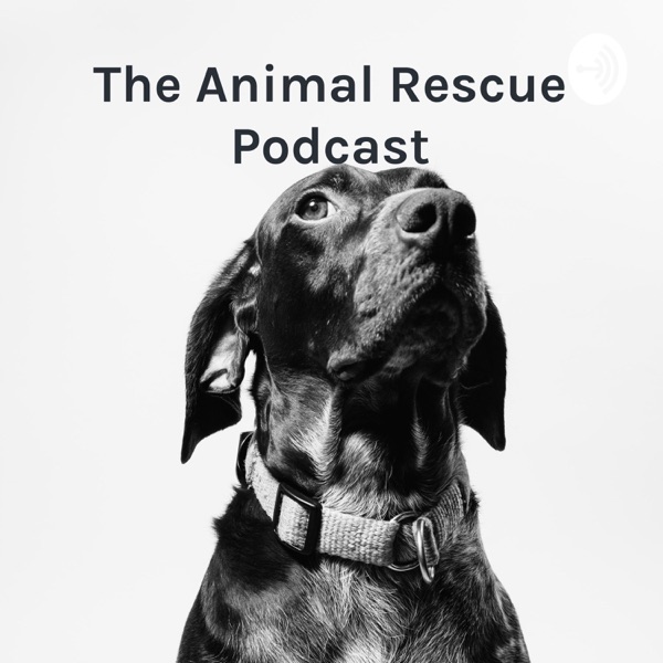 The Animal Rescue Podcast: what you always wanted to know but didn’t know who to ask Artwork
