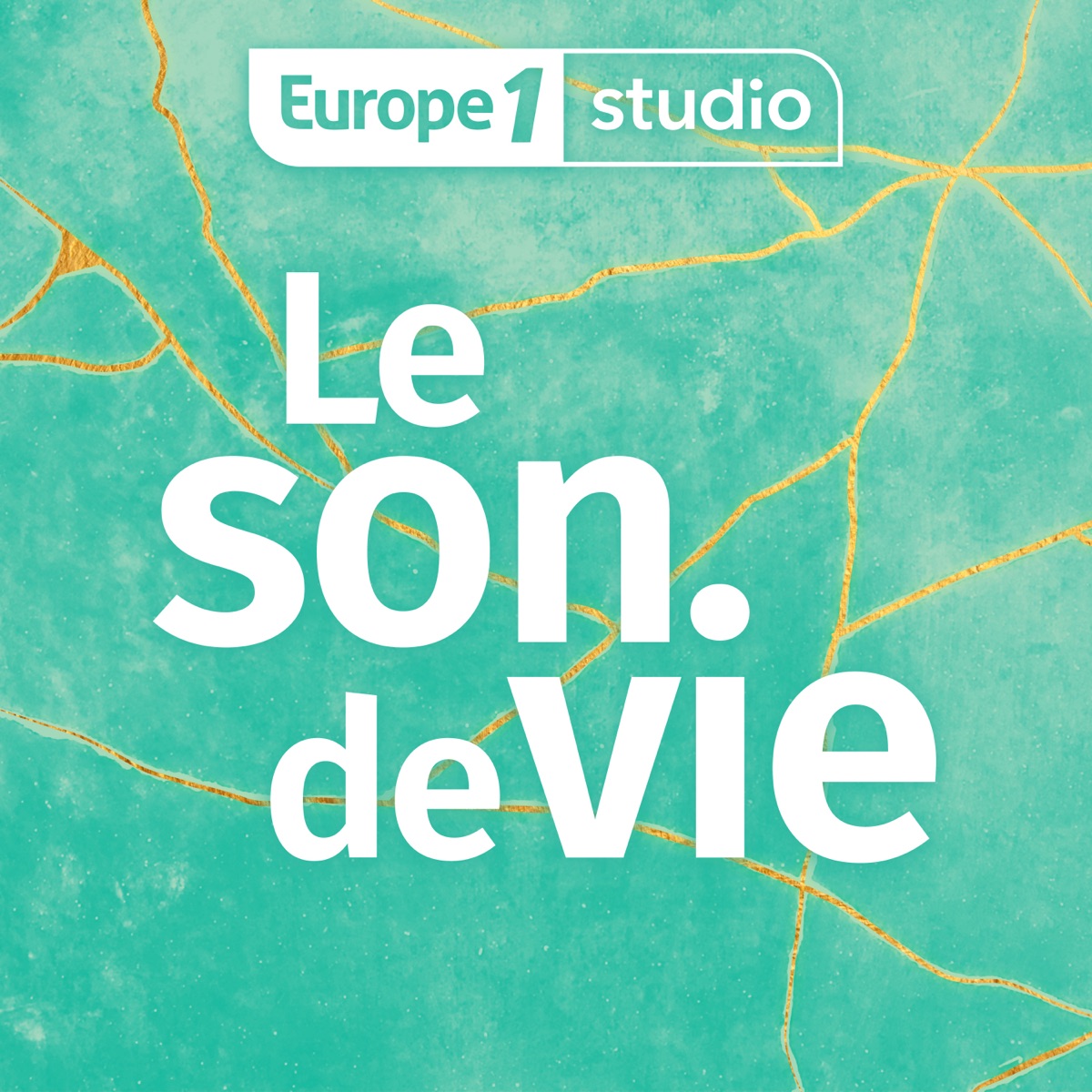 Le Son de Vie
