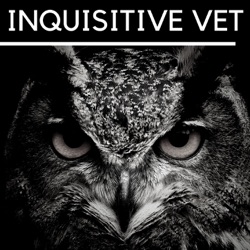 Inquisitive Vet