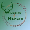 Wildlife Health Connections artwork