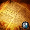 NTEB BIBLE RADIO: Rightly Dividing artwork