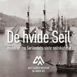 Seilskuterederne fra Sørlandet - fra storhetstid til økonomisk havari