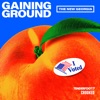 Gaining Ground: The New Georgia artwork