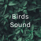 Birds Sound - Sriram Balaji