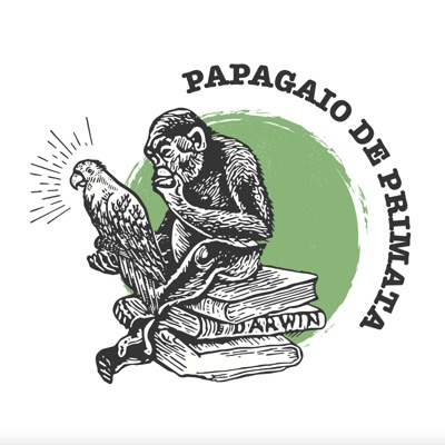 Papagaio de Primata Papagaio de Primata