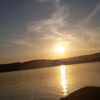 TSLAQ Podcast podcast