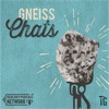 Gneiss Chats artwork