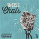 Gneiss Chats