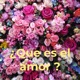 ¿Que es el amor ?