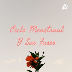 Ciclo Menstrual Y Sus Fases 