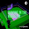 Shaunie in the Wrasslin artwork