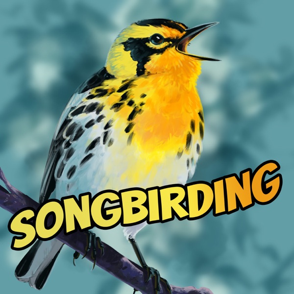 Songbirding Artwork