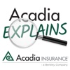 Acadia Explains artwork