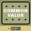 Common Valor artwork