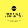 What Kind of Asian Are You? artwork