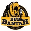 Big Bad Bruins Bantah artwork