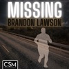 Missing Brandon Lawson artwork