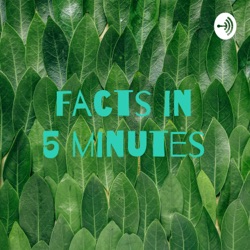 The first facts in 5 minutes