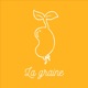 La graine