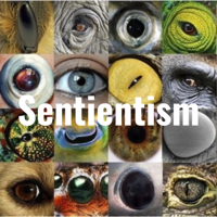 "Marx for Cats" - Leigh Claire La Berge - Sentientism 204