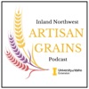 Inland Northwest Artisan Grains Podcast: Unpacking the Grain Shed artwork