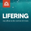 LifeRing artwork