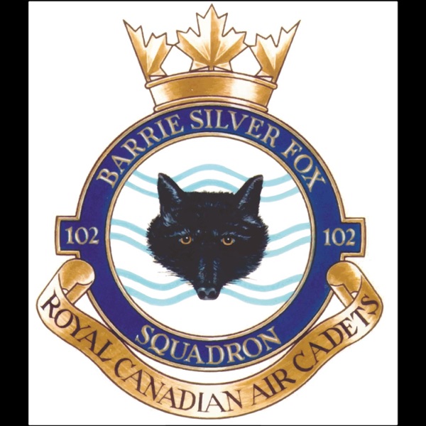 102 Squadron Artwork