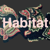 Habitat, Creativity-Michael Rice (Episode 4)