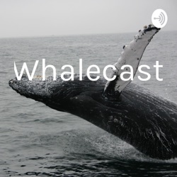 Whale podcast