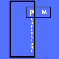 #3 PROFESSIONE PROJECT MANAGER