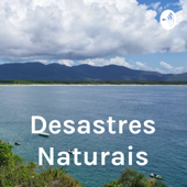 Desastres Naturais - Mariana Felix