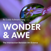 Wonder And Awe - Louie Schwartzberg of Moving Art