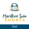 Marathon Swim Shorts artwork