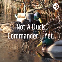 Not A Duck Commander... Yet.