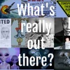 What's Really Out There?  artwork